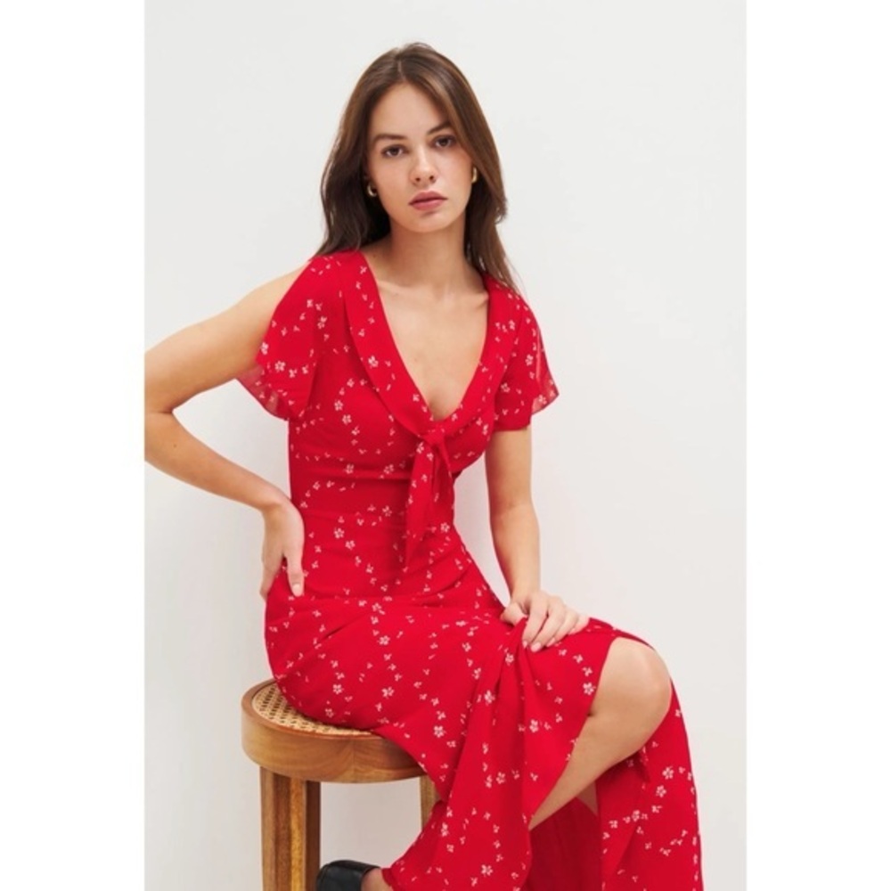 NWT Reformation Talleen Floral Ruffle Maxi Dress Size 4 in Fresno Red